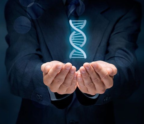 Valores-da-empresa-o-que-sao